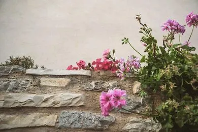 Apartamento Celestia Traditional *